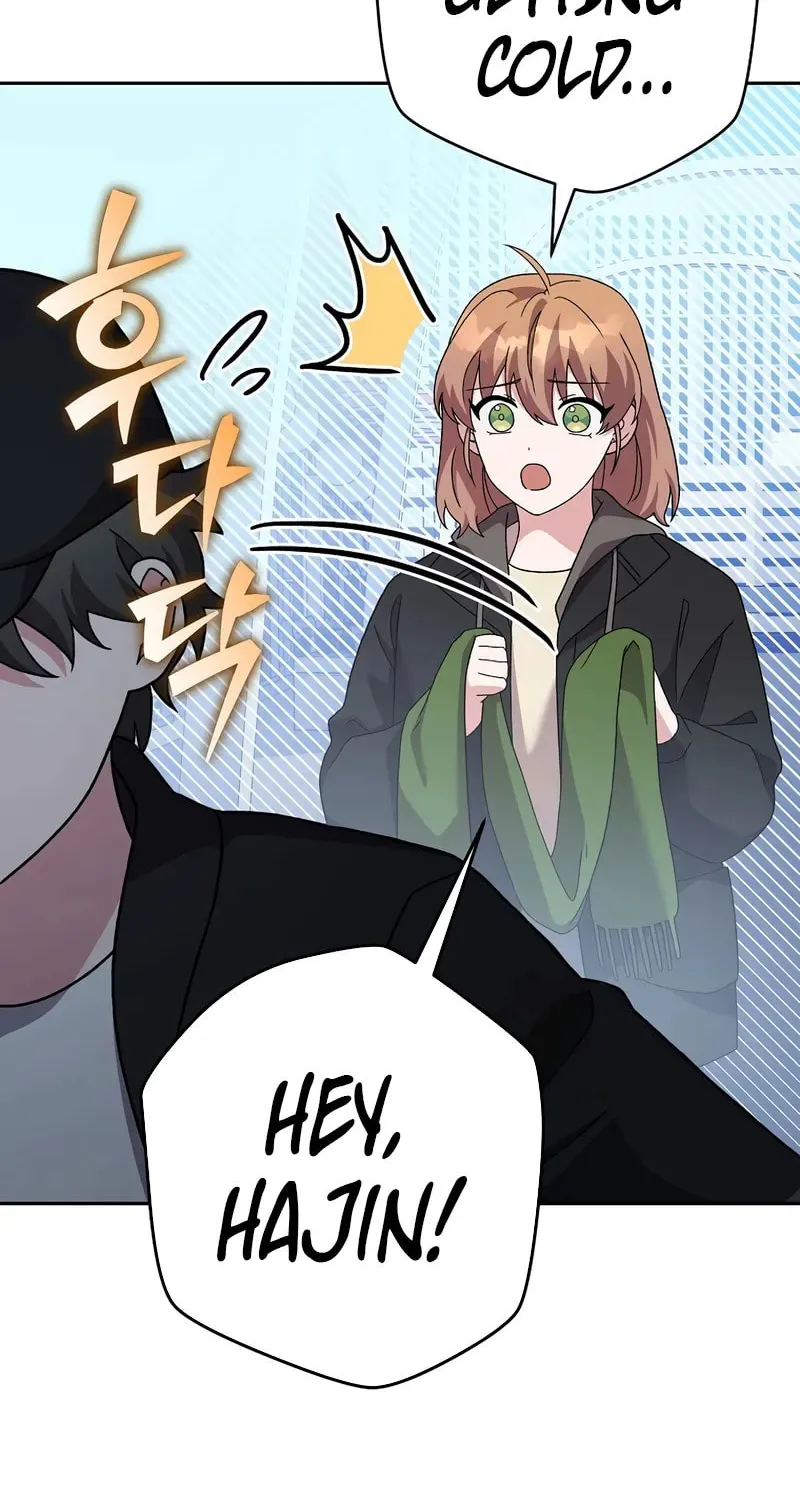 The Novel