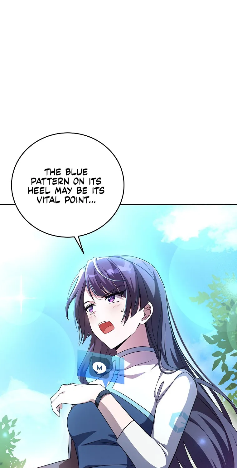 The Novel
