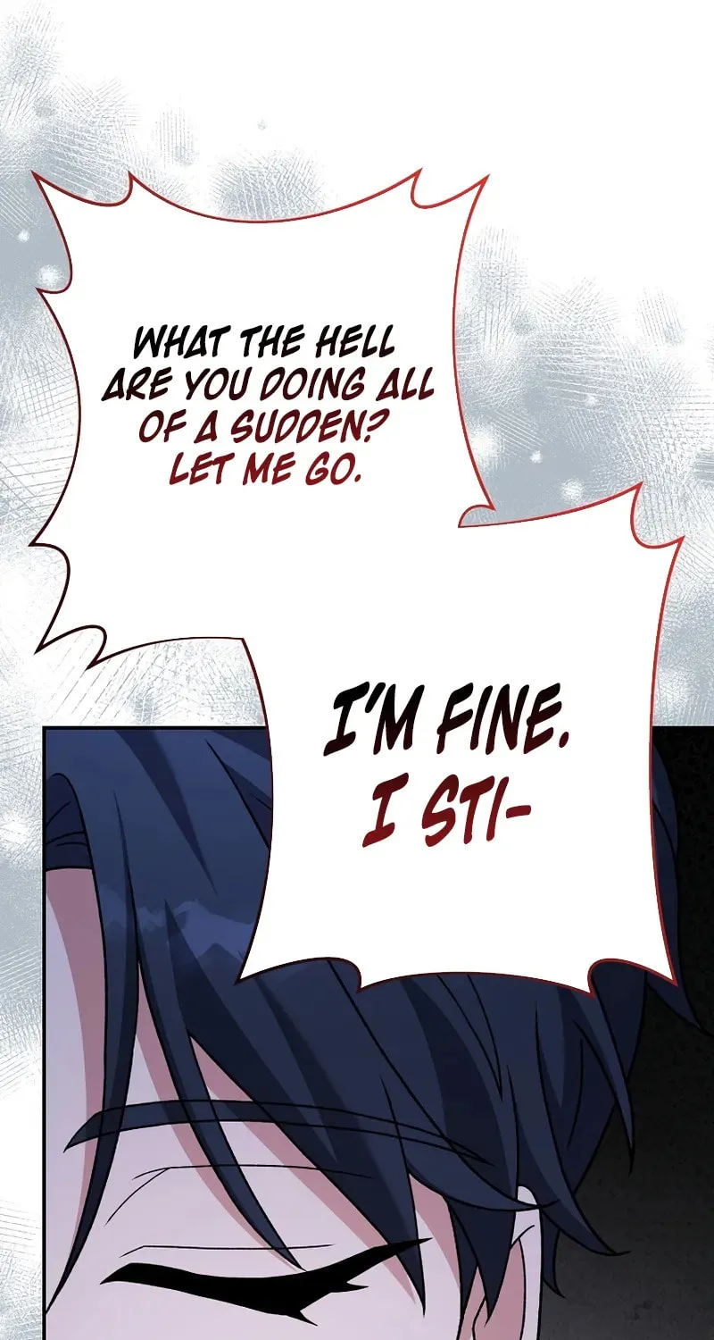 The Novel