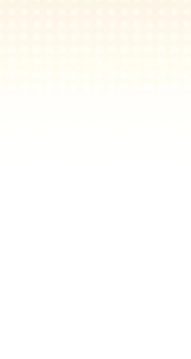 The Novel