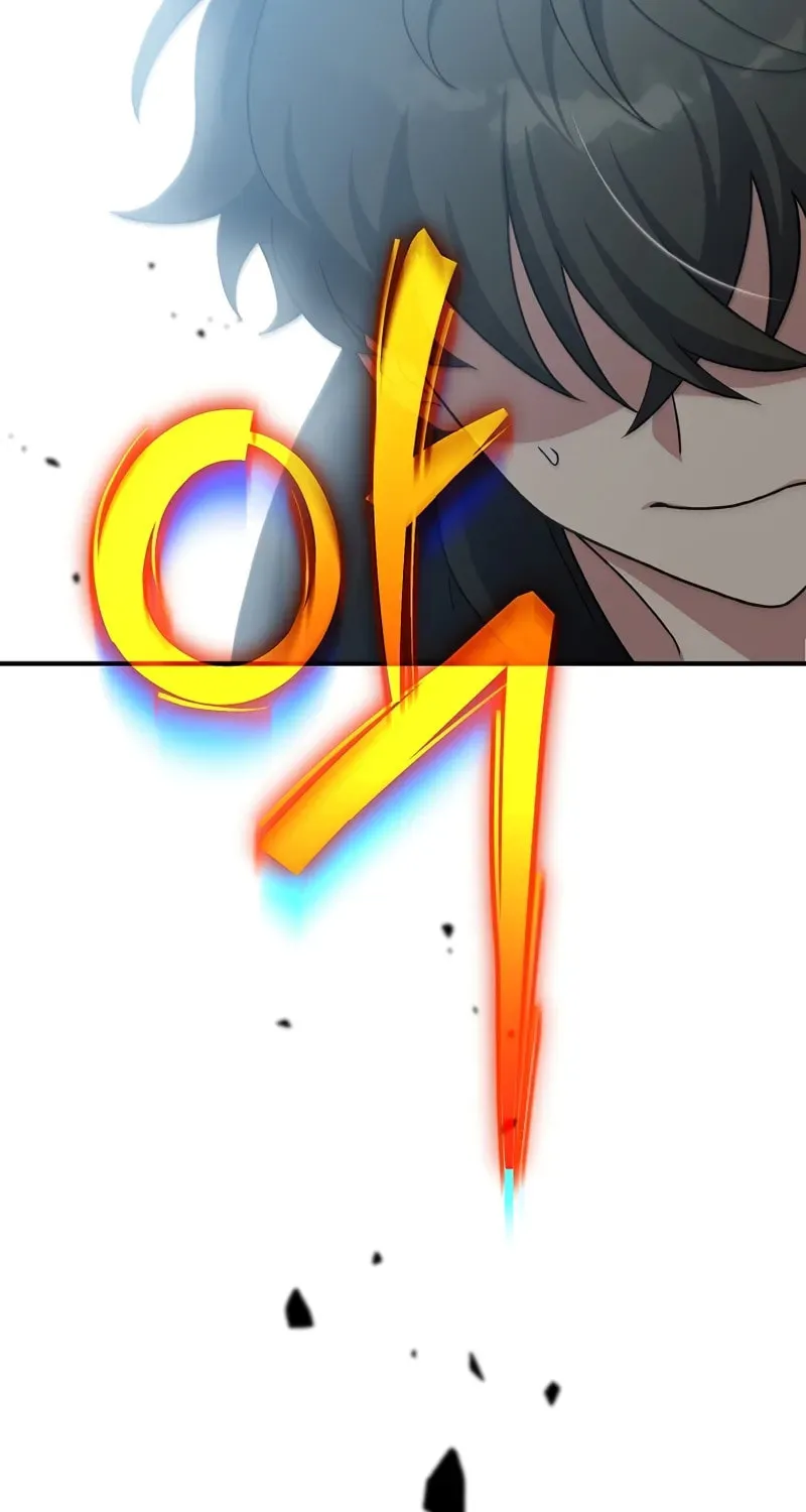 The Novel