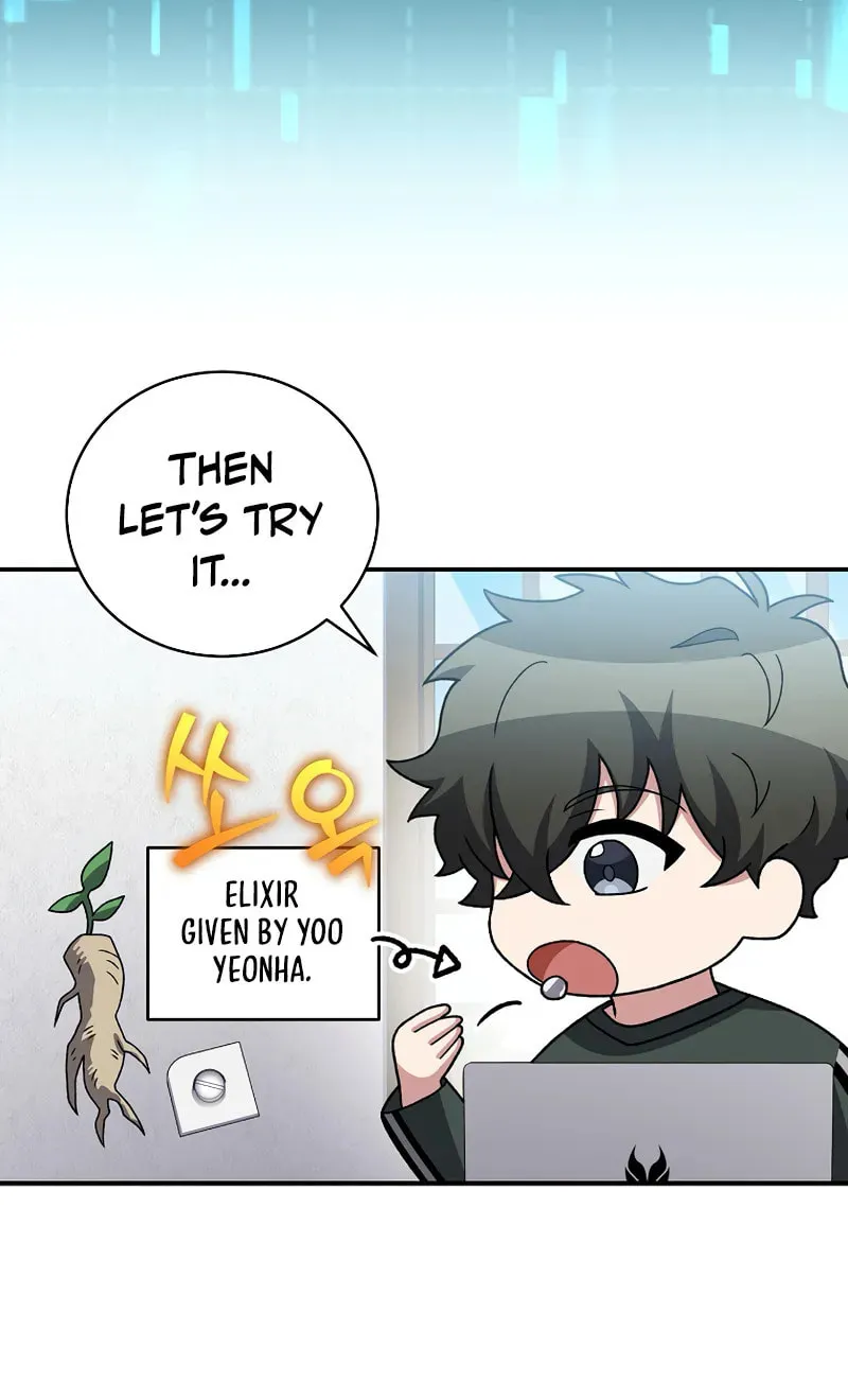 The Novel