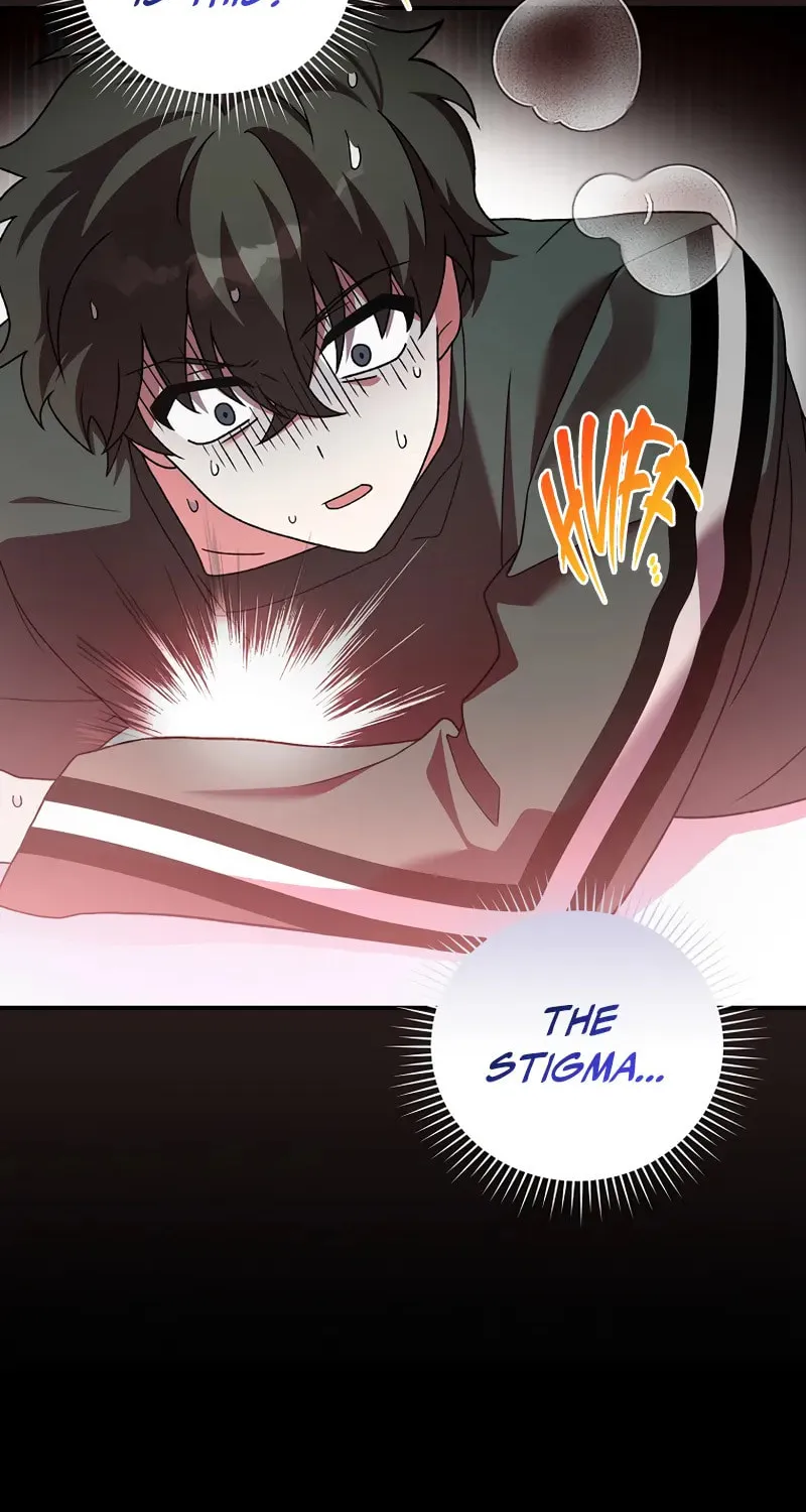 The Novel
