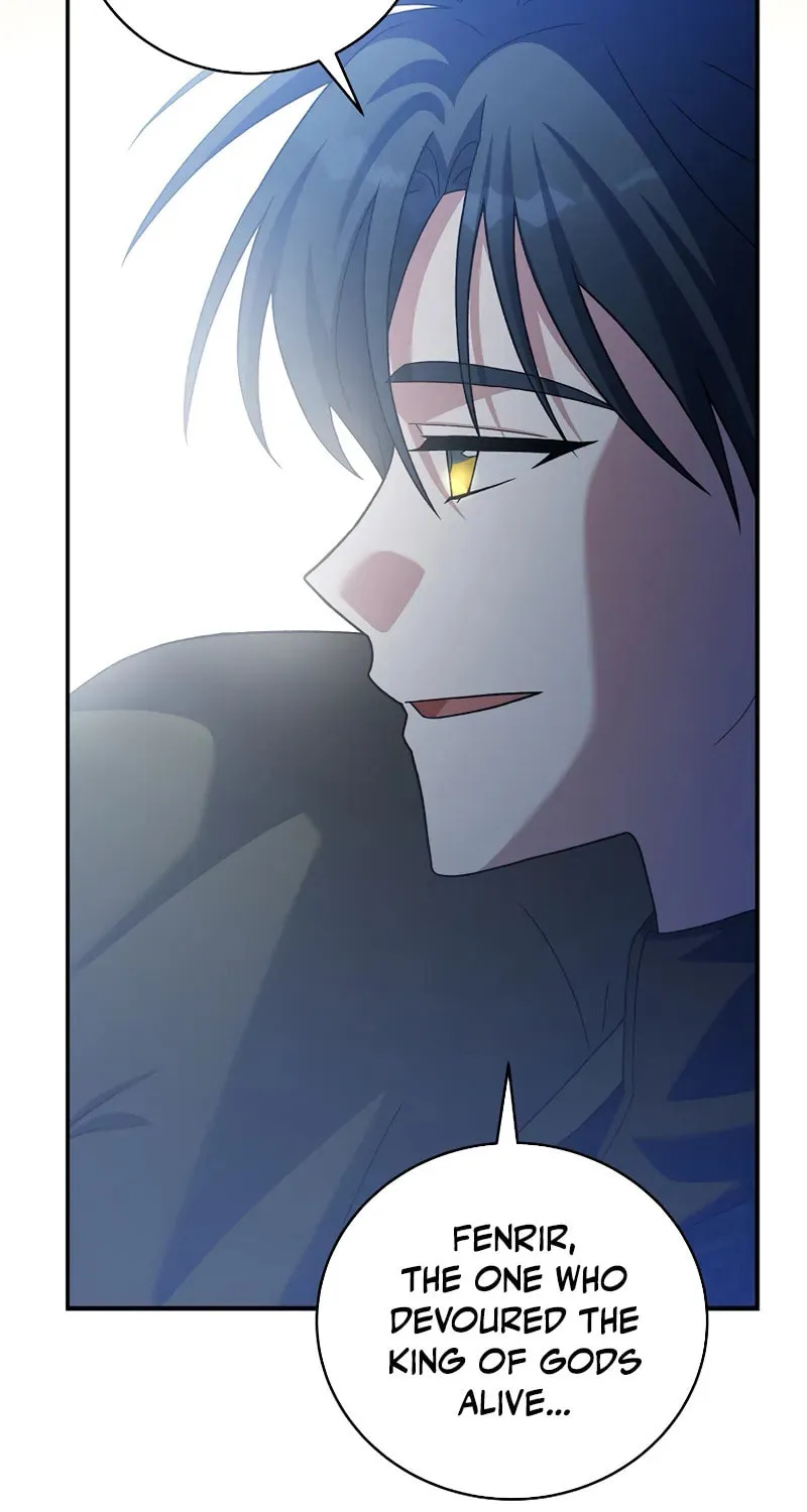 The Novel