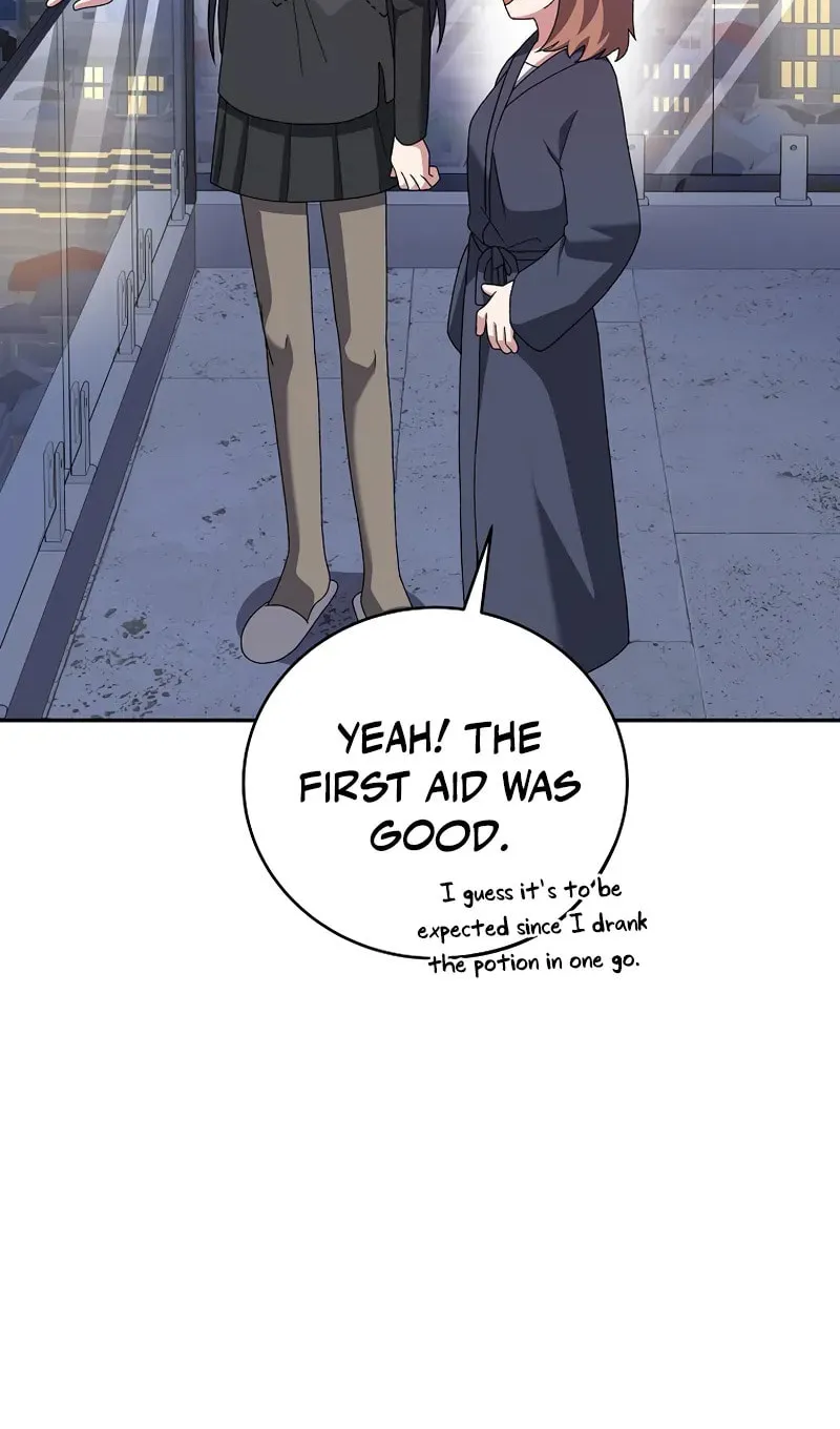 The Novel