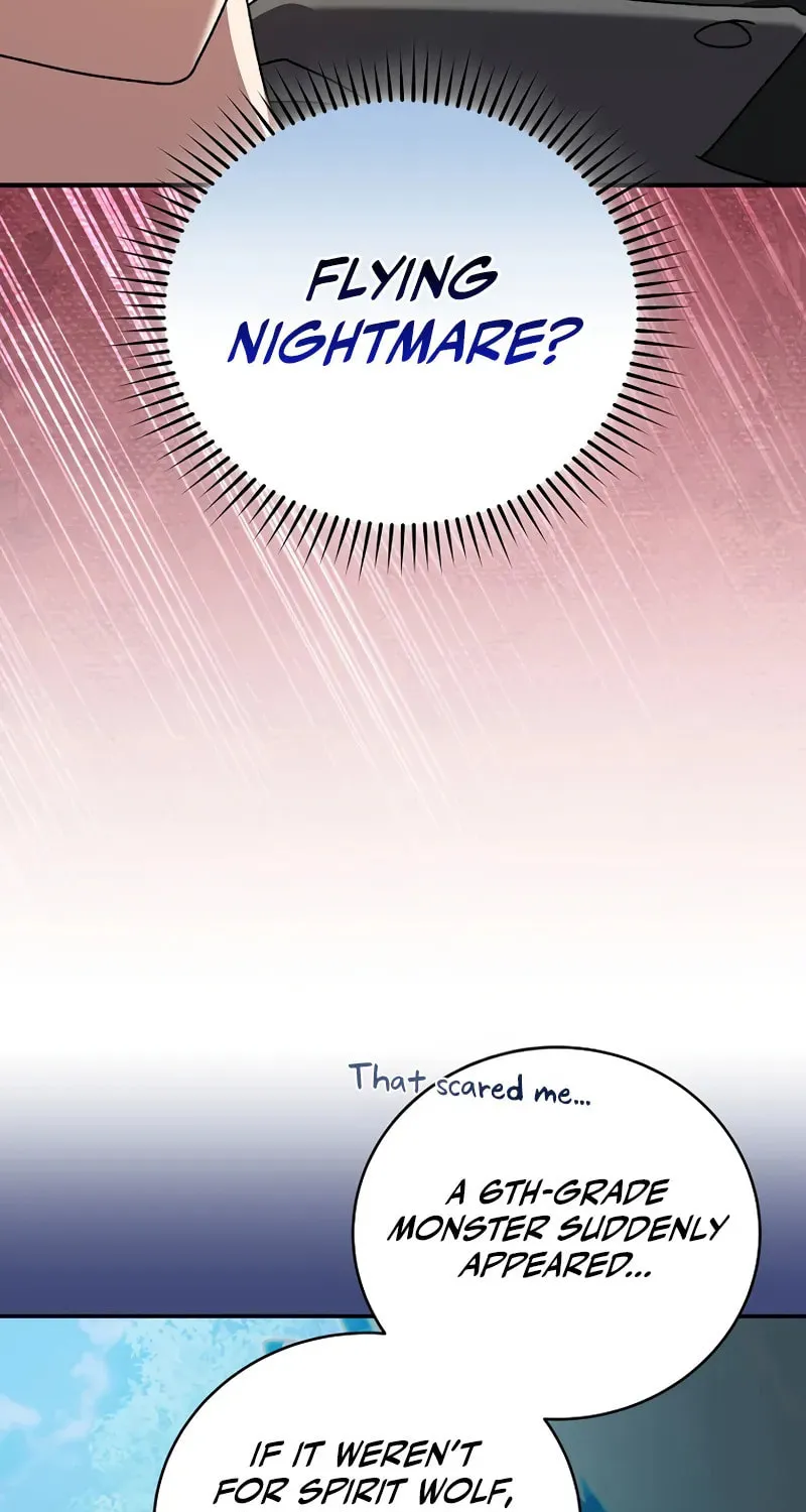 The Novel