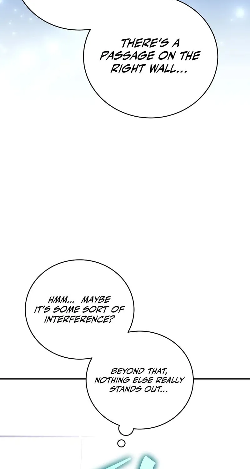 The Novel