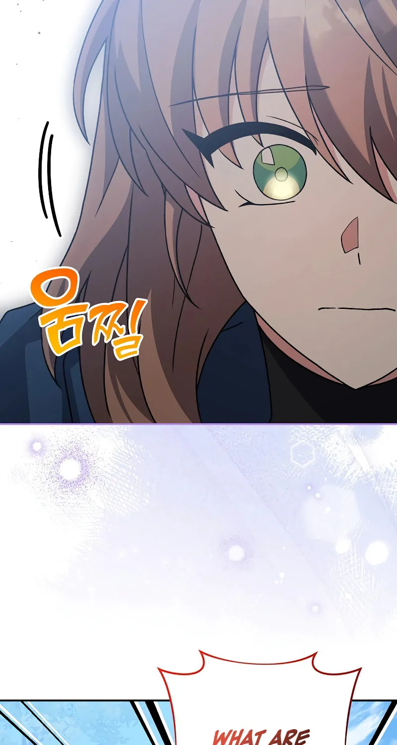 The Novel