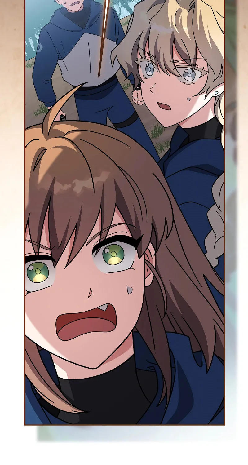 The Novel