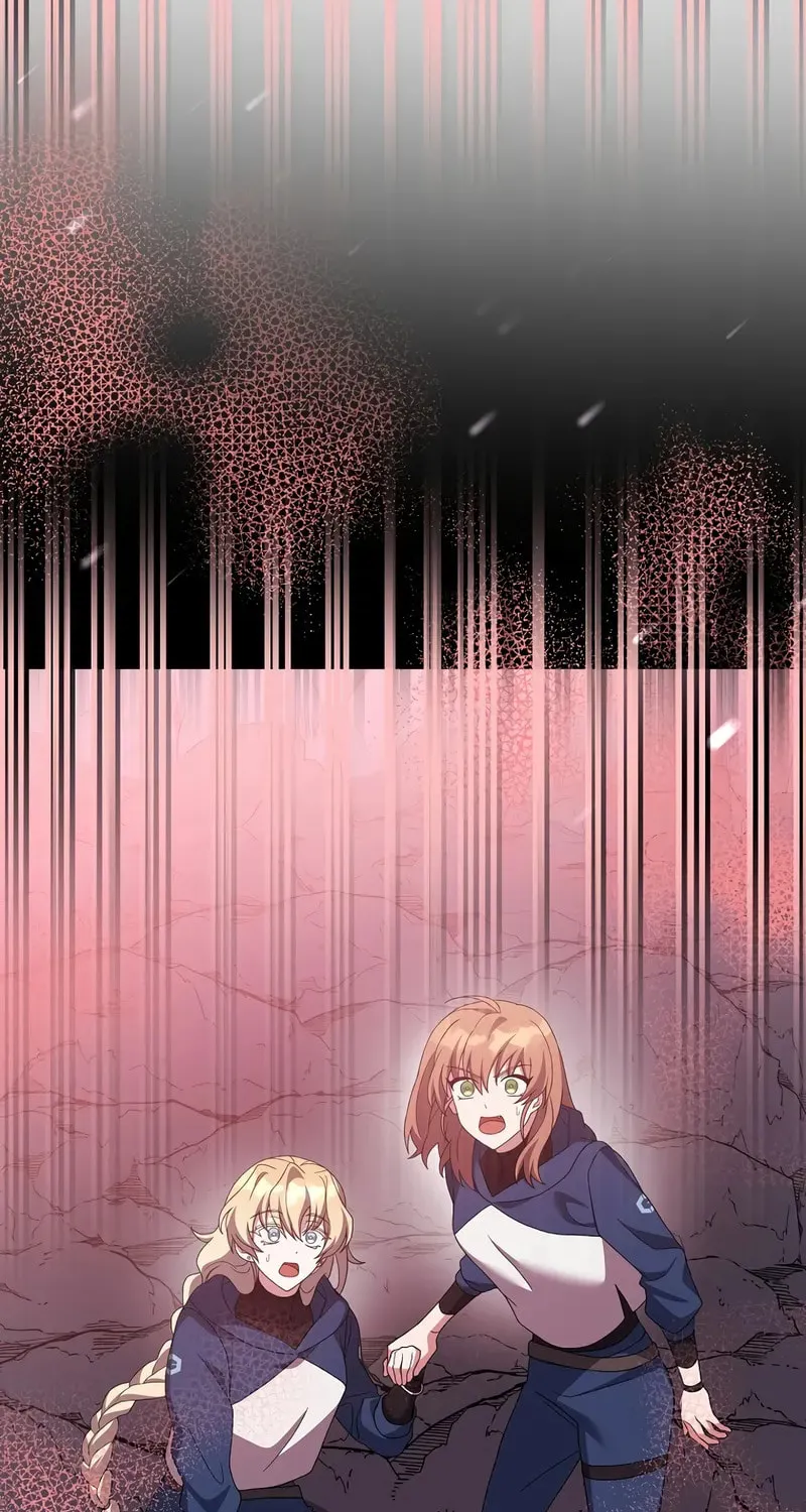 The Novel