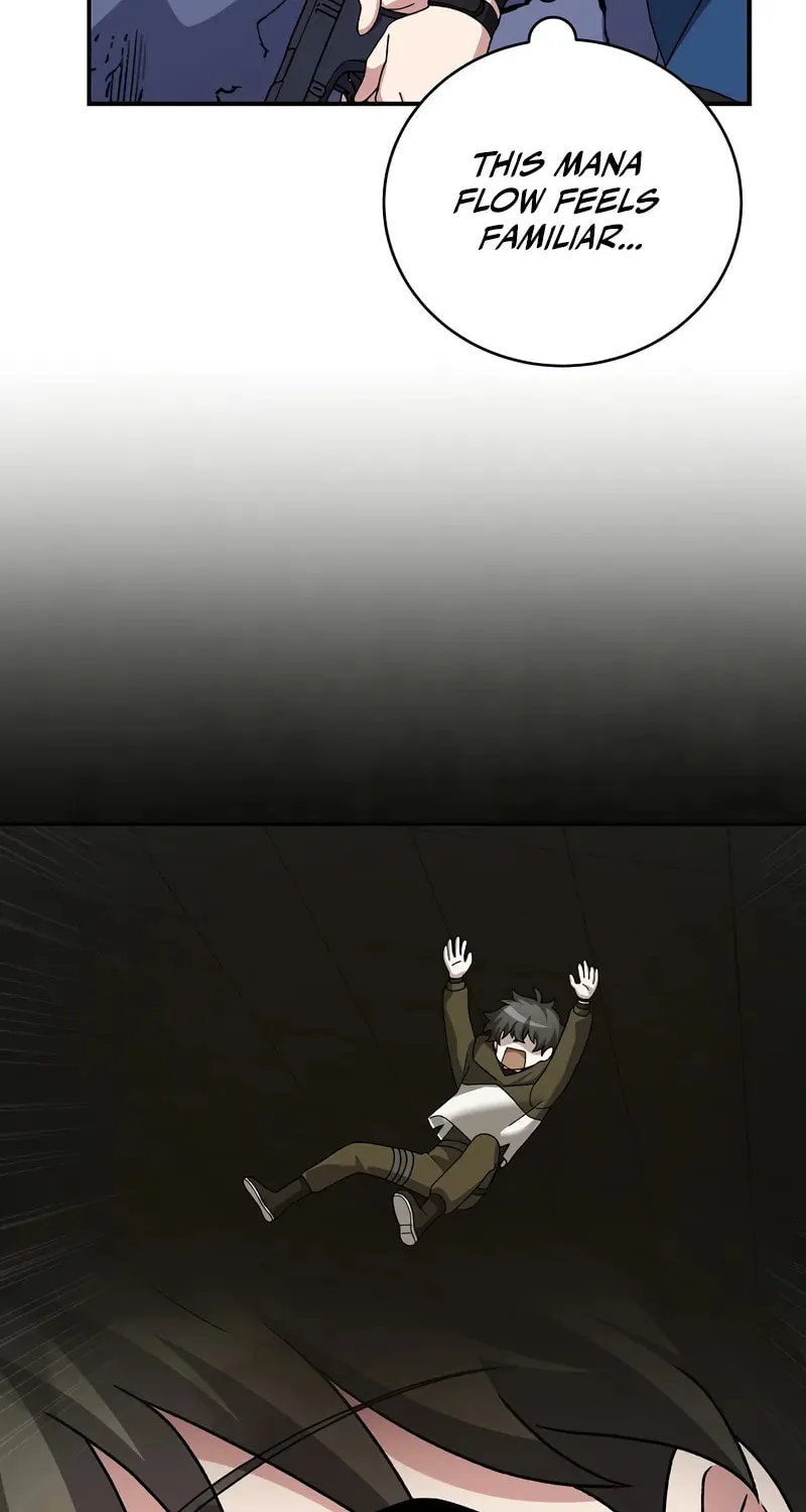 The Novel
