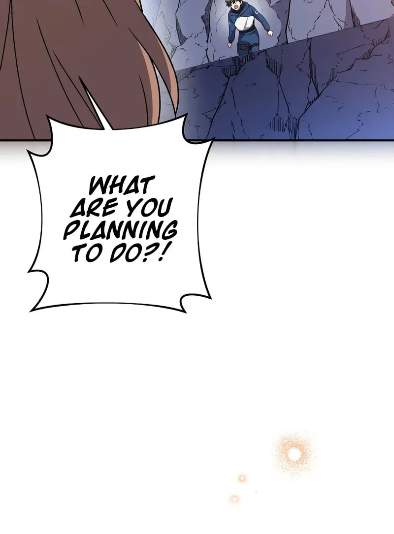 The Novel