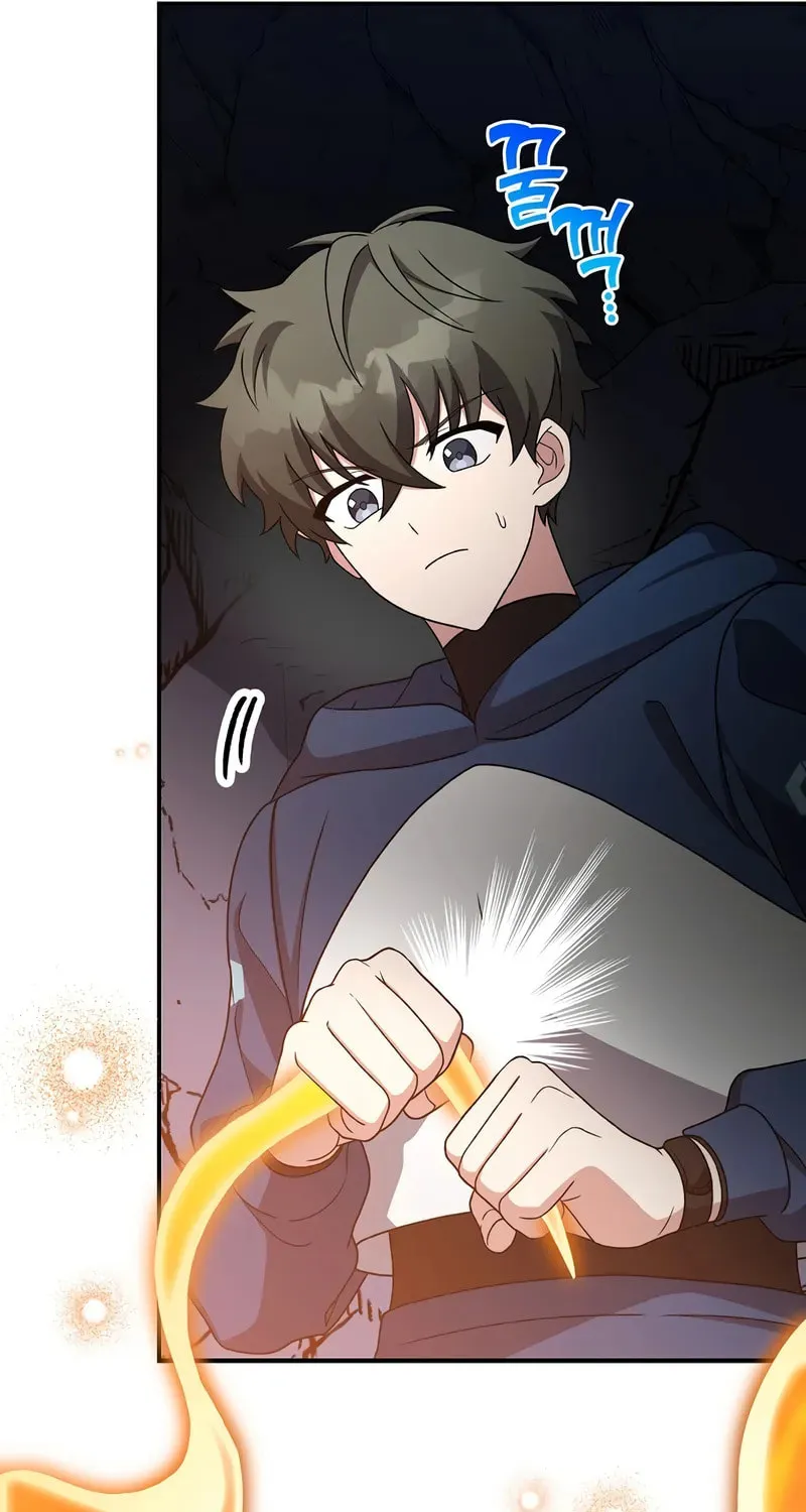 The Novel