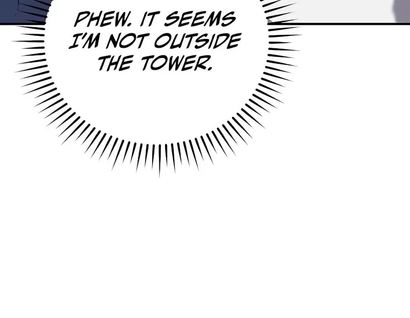 The Novel