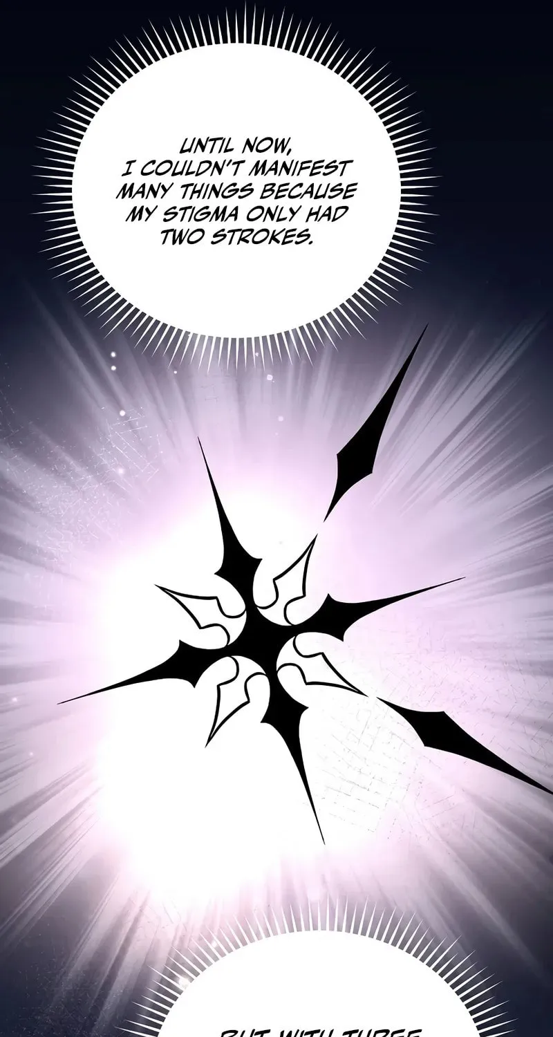 The Novel