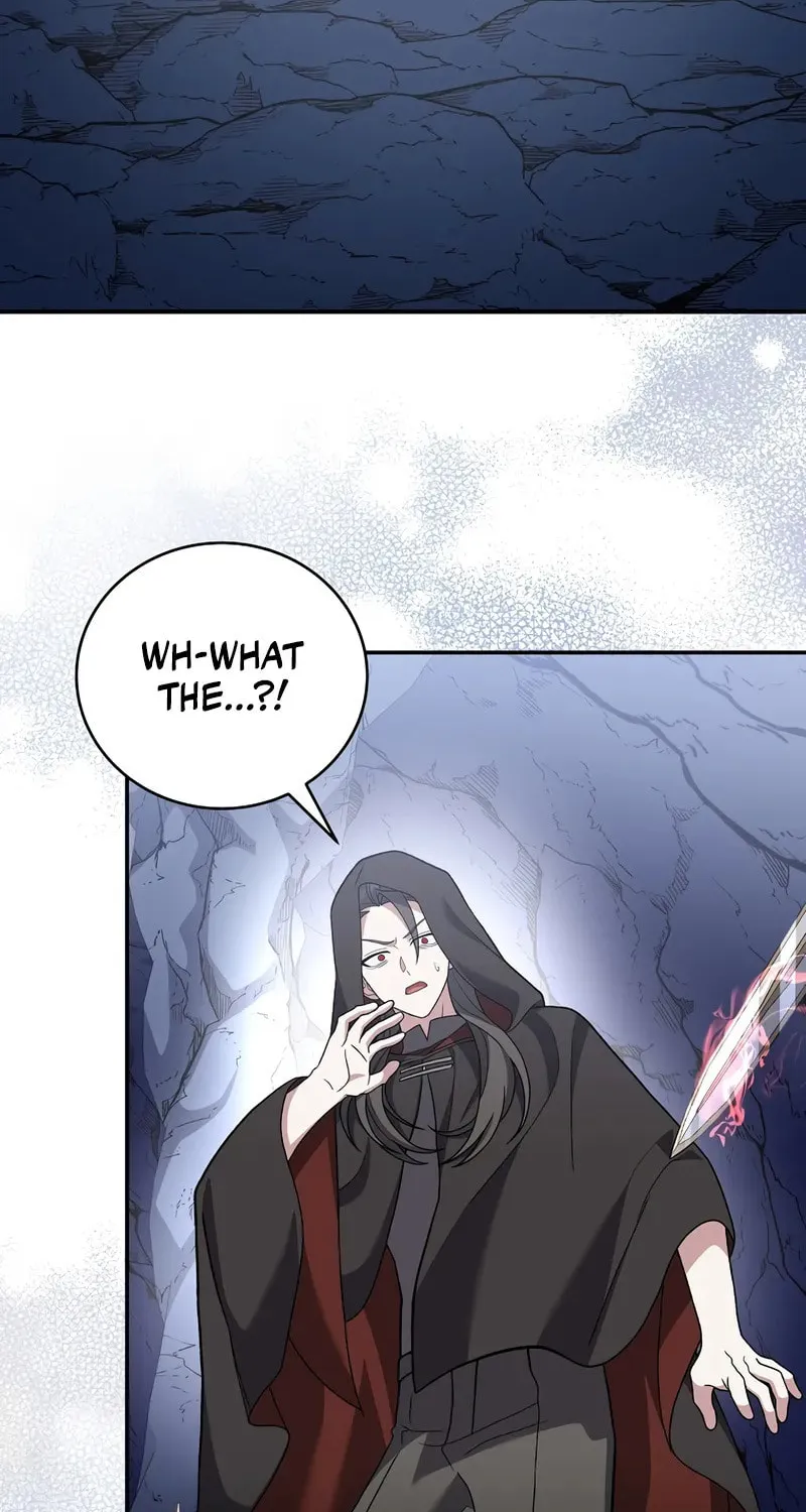 The Novel