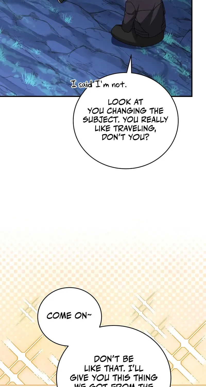 The Novel