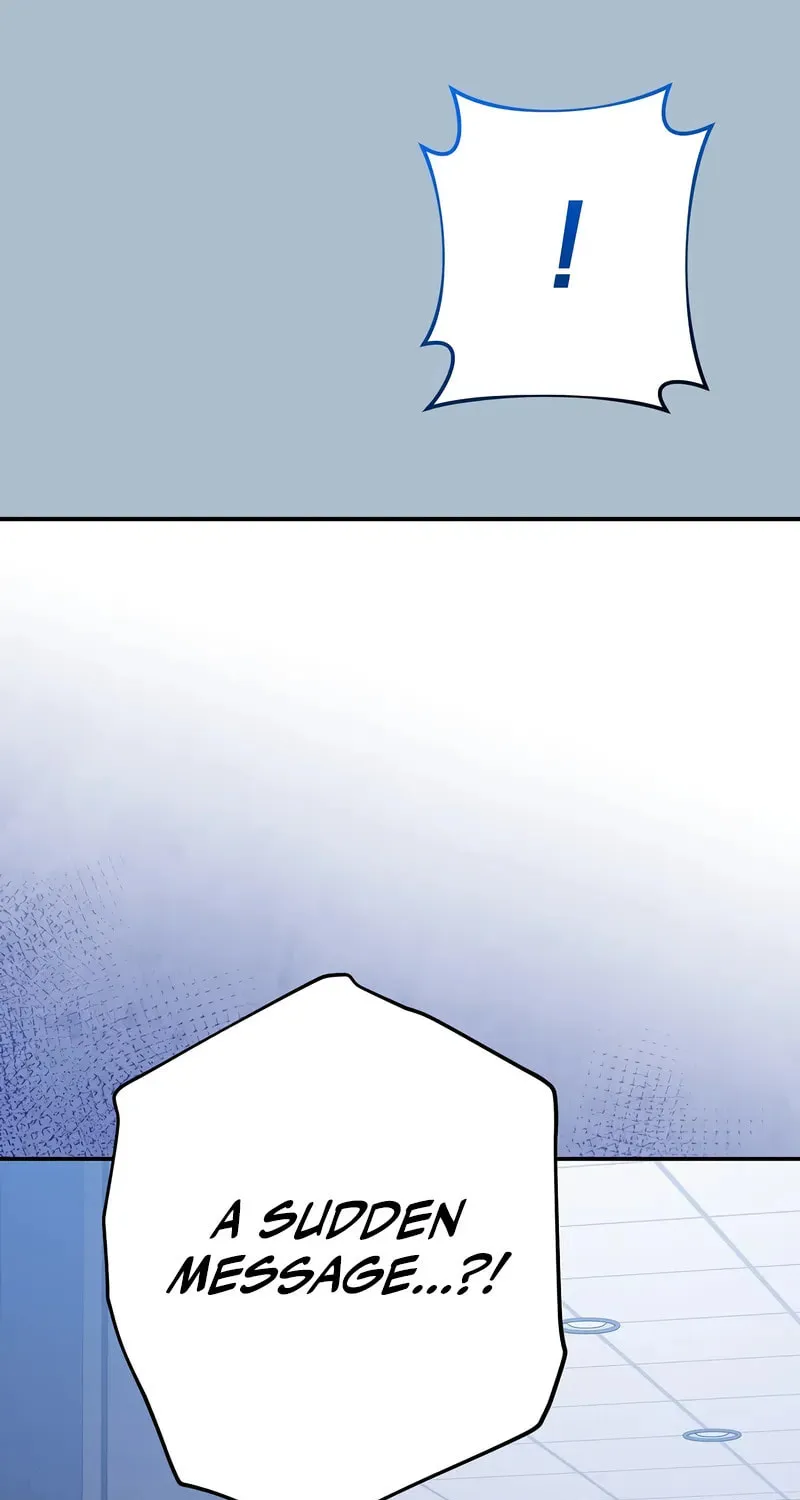 The Novel