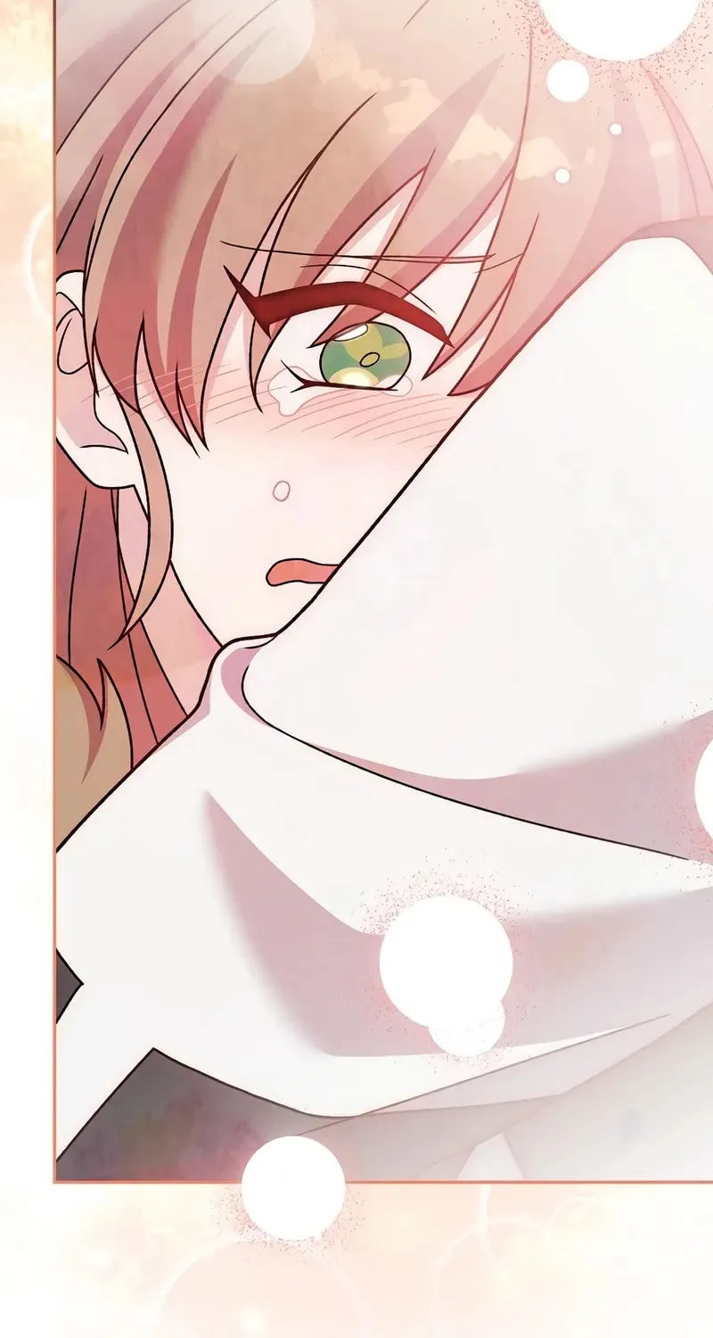 The Novel