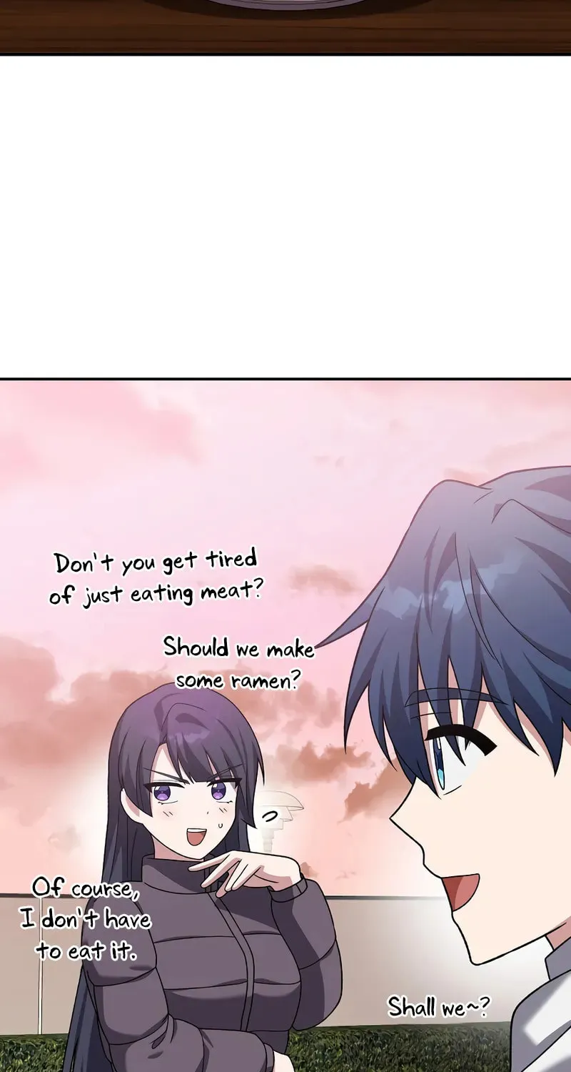 The Novel