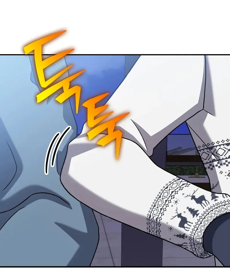 The Novel