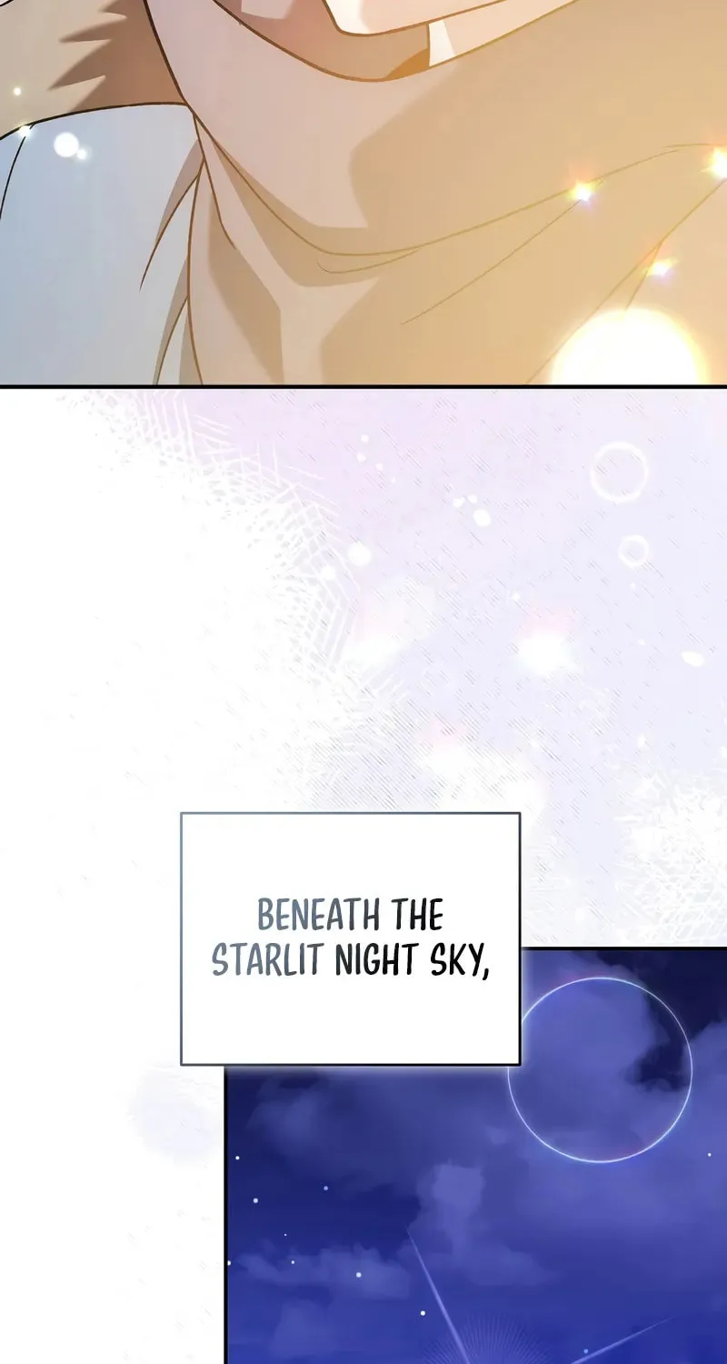 The Novel