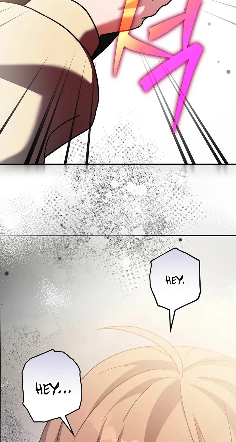 The Novel
