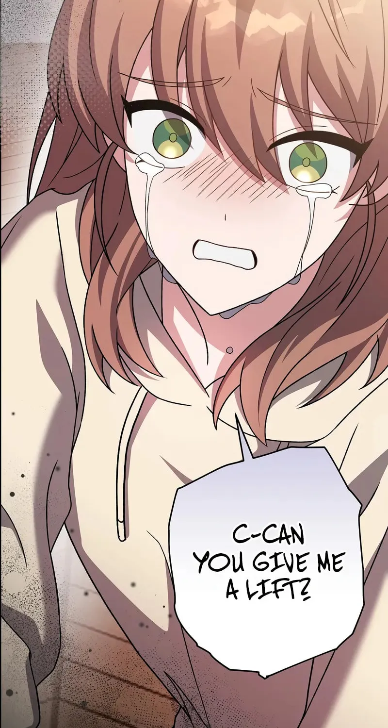 The Novel