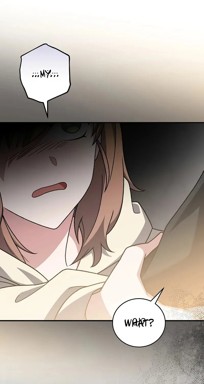 The Novel