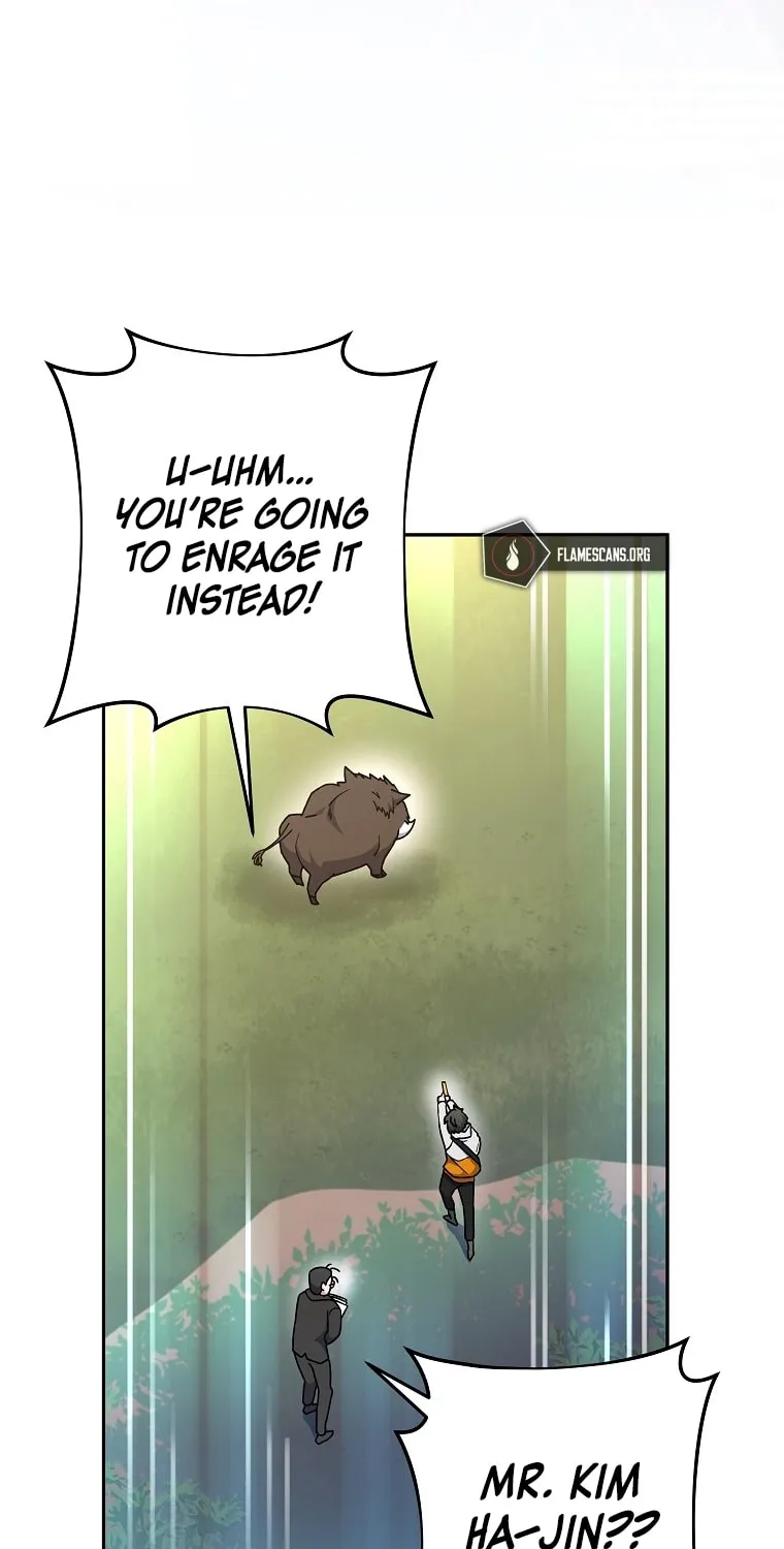 The Novel