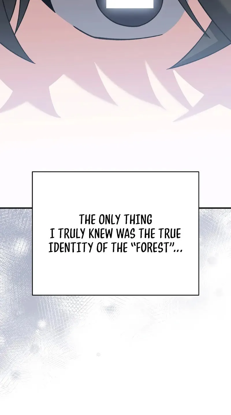 The Novel
