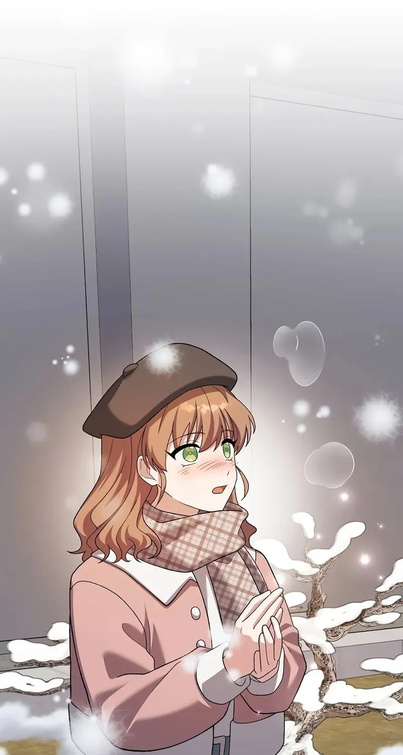 The Novel