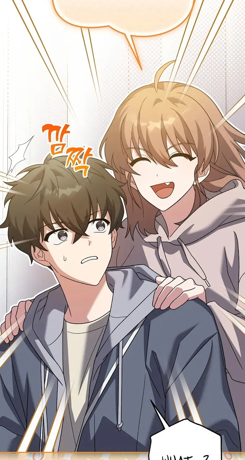 The Novel