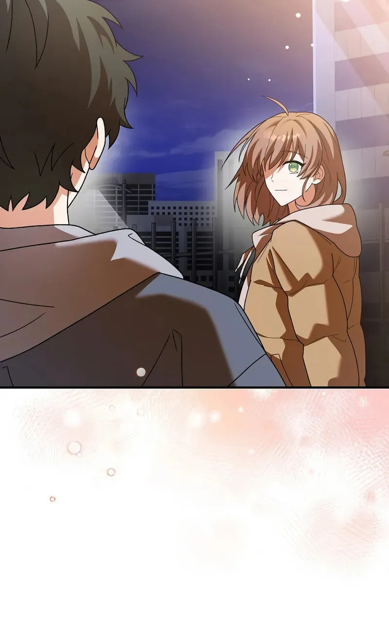 The Novel