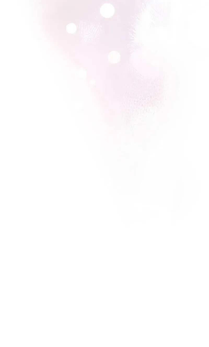 The Novel