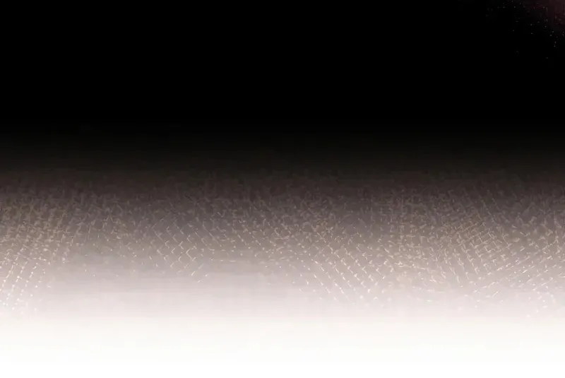 The Novel