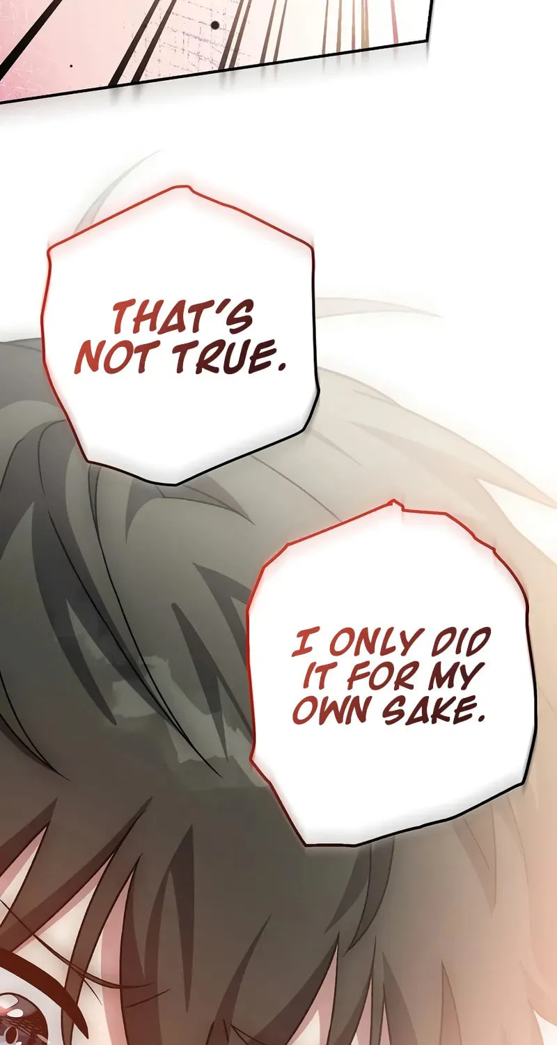 The Novel