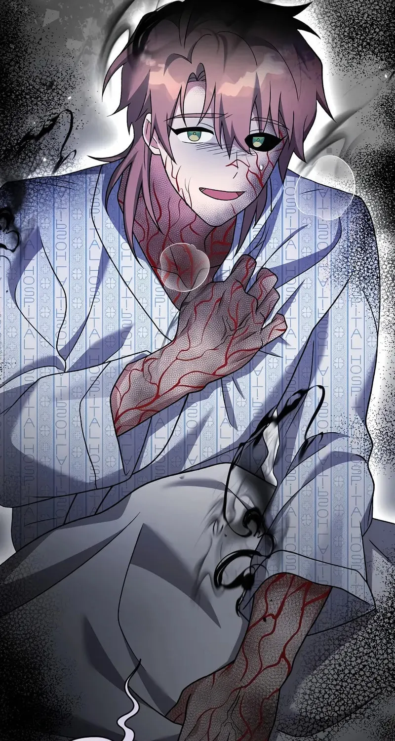 The Novel