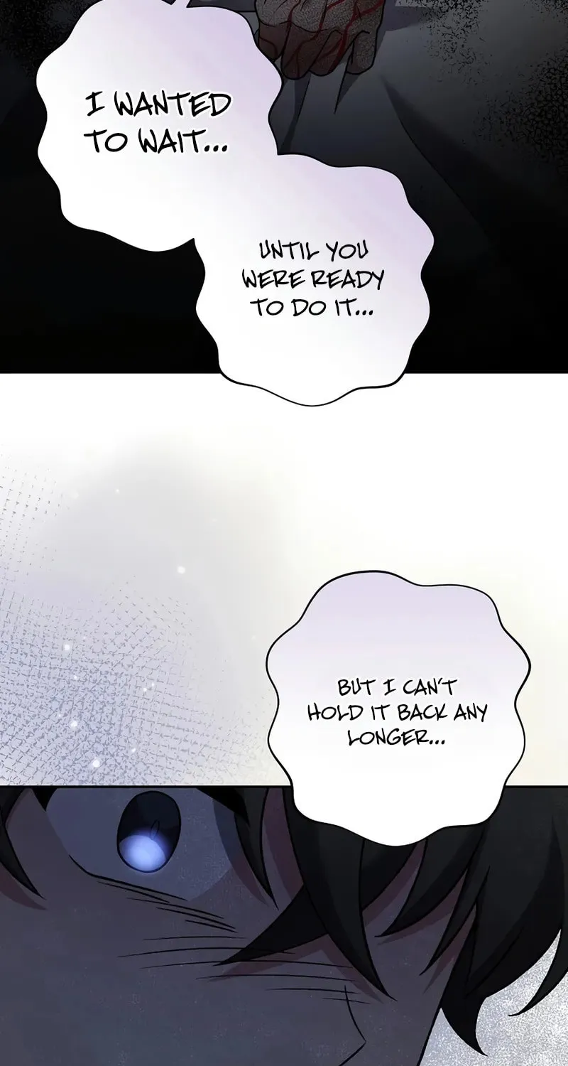The Novel