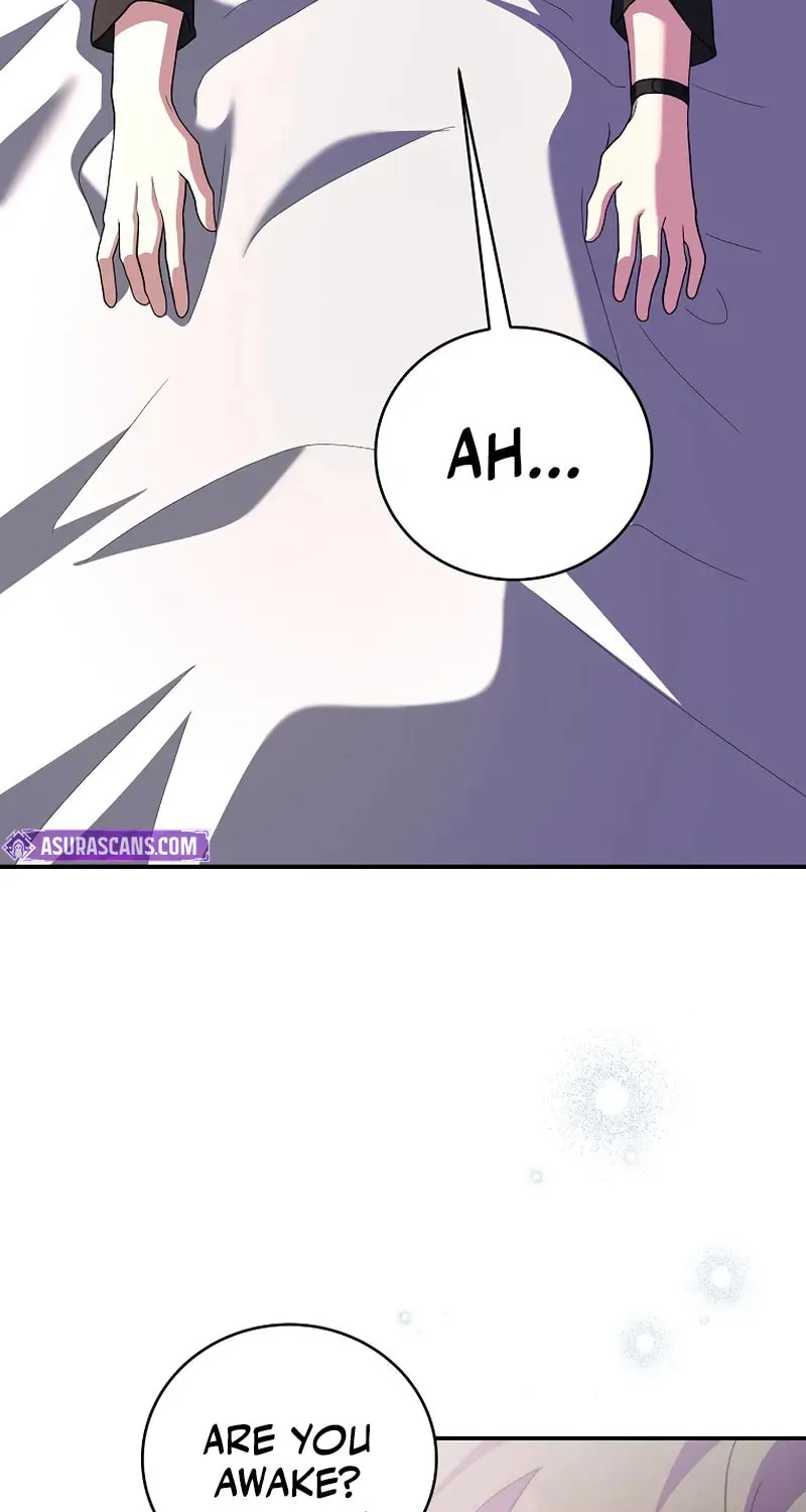 The Novel