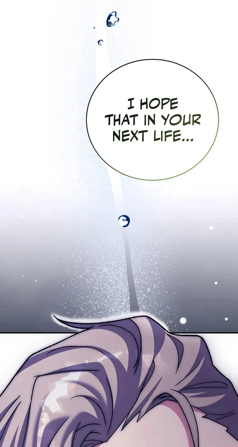 The Novel