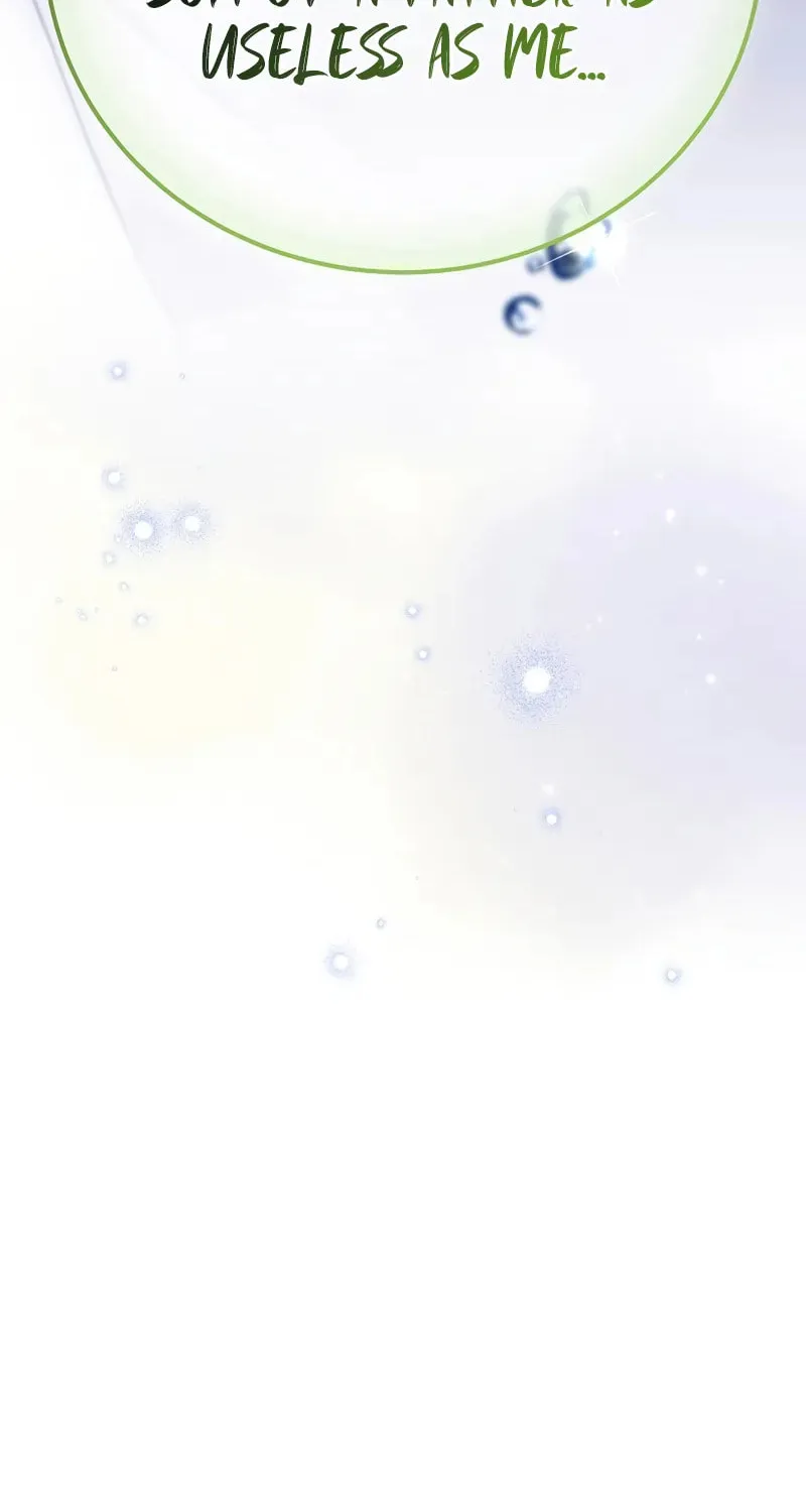 The Novel