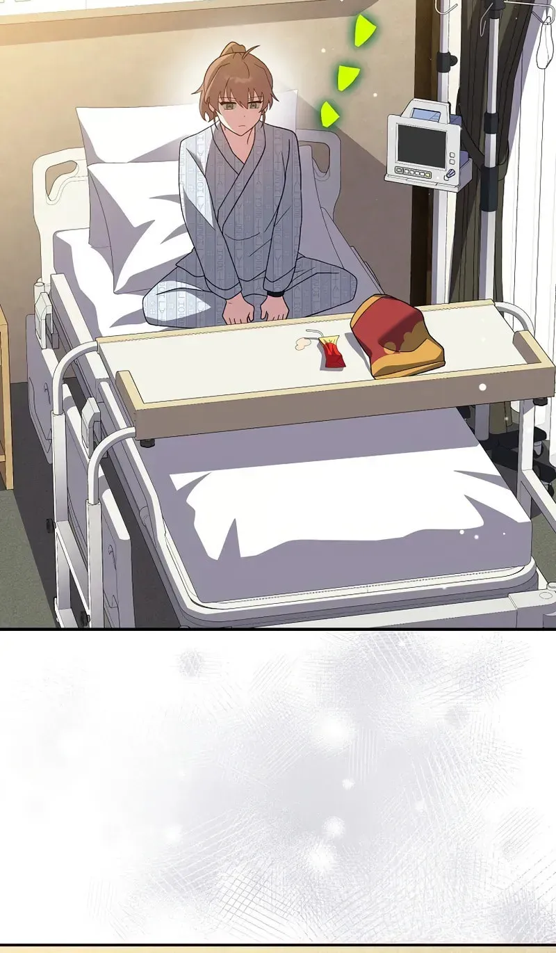 The Novel