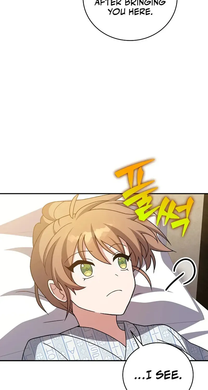 The Novel