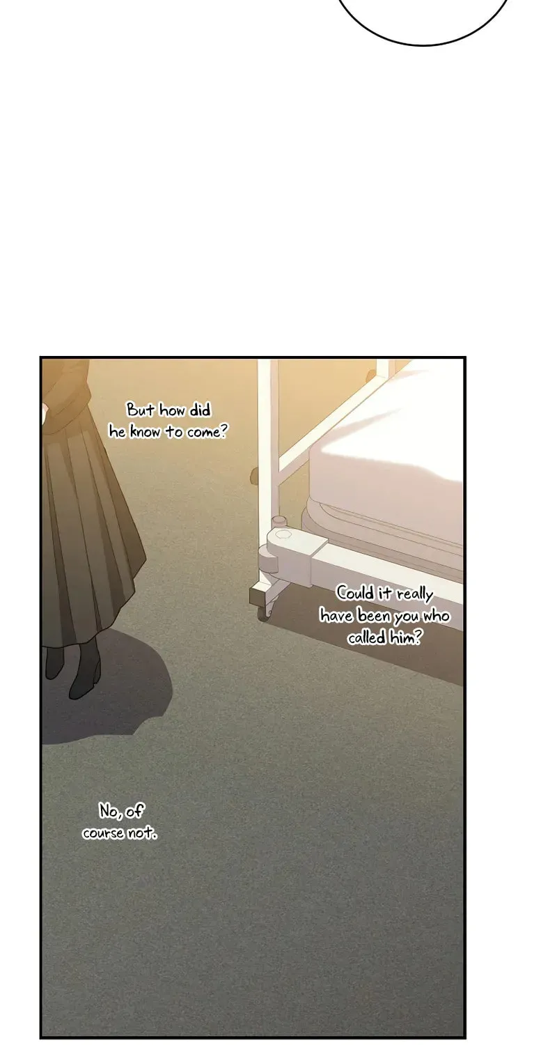 The Novel