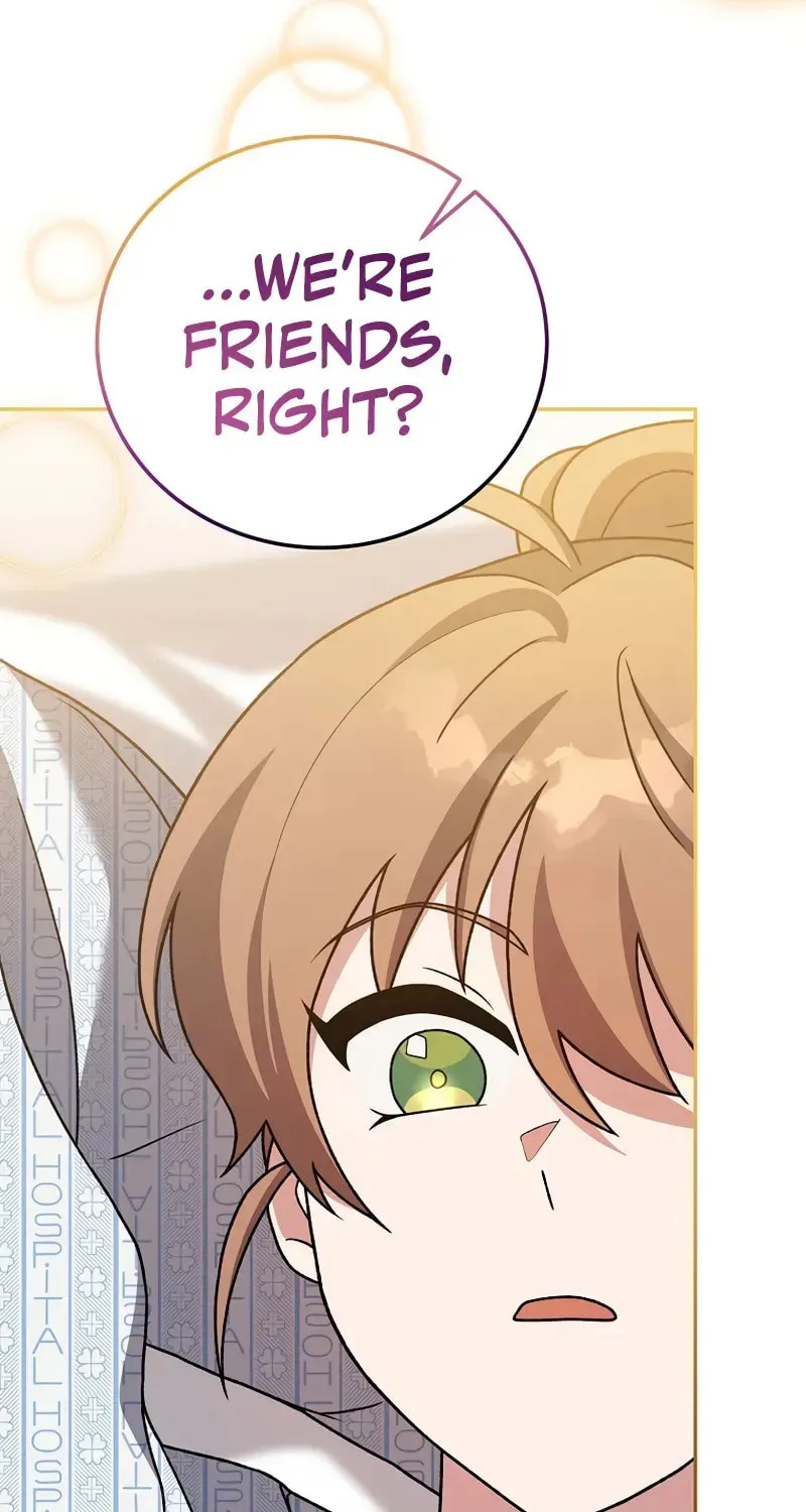 The Novel