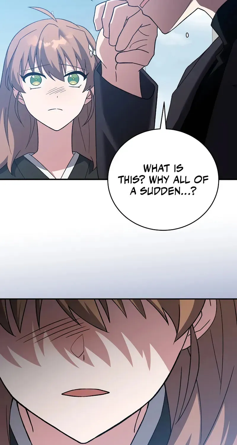 The Novel