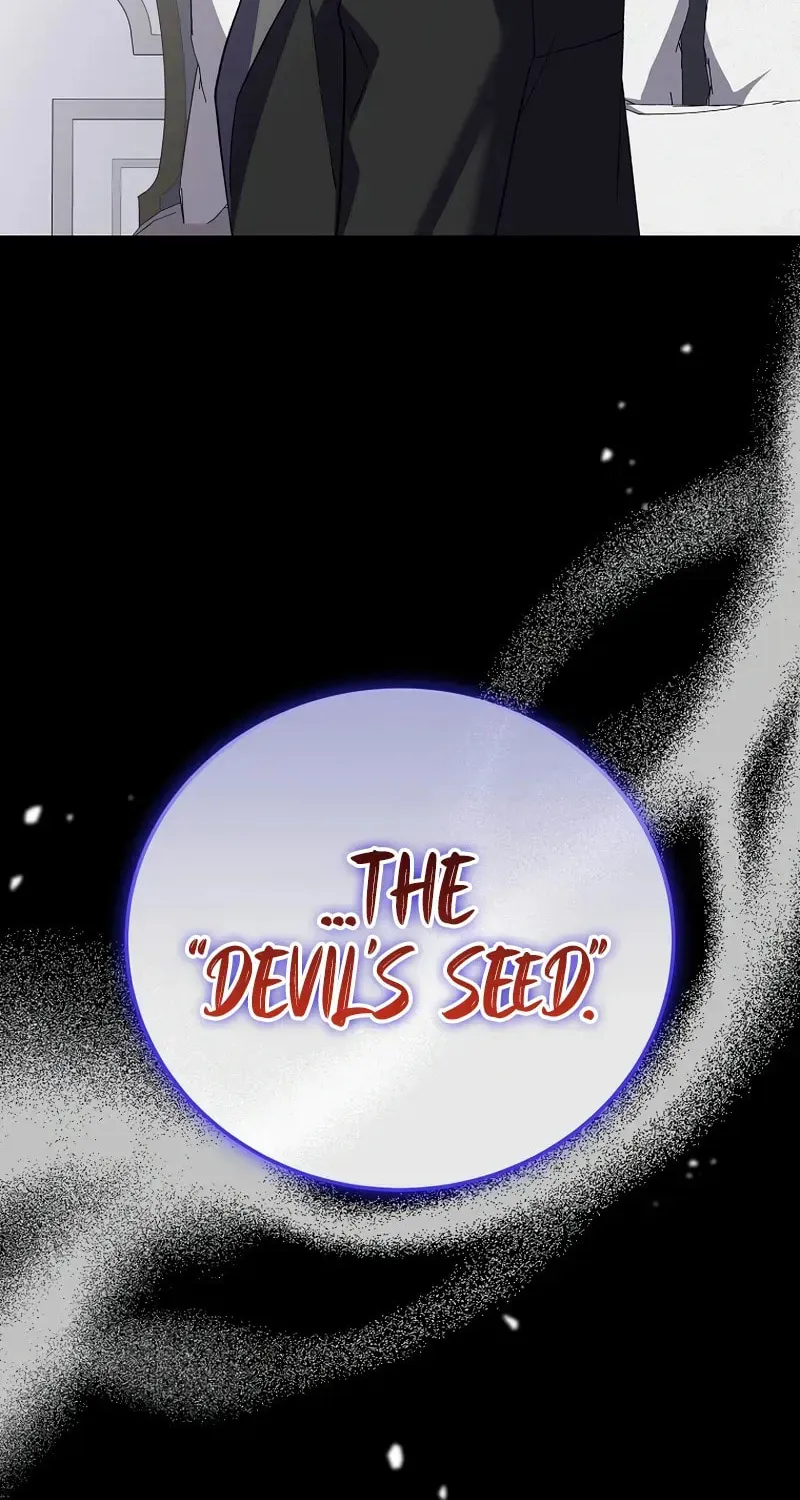The Novel