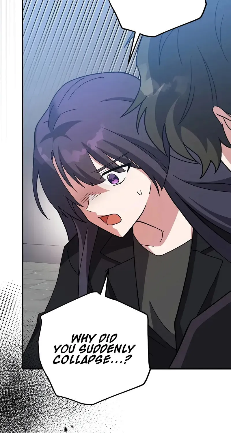 The Novel