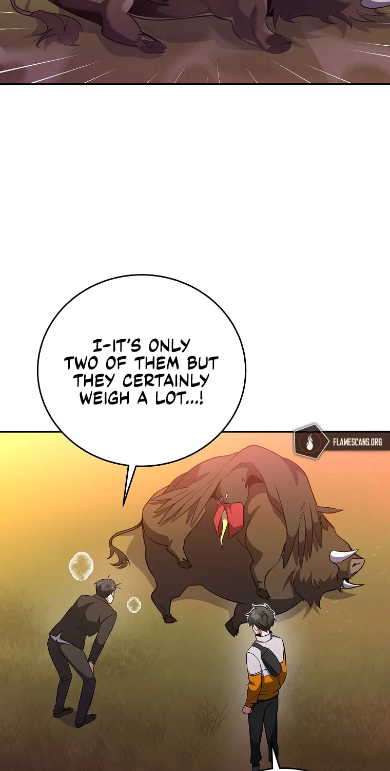 The Novel